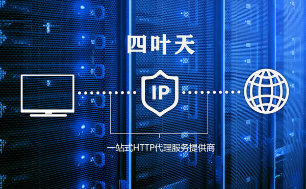 【益阳代理IP】代理IP的主要用途和使用注意事项